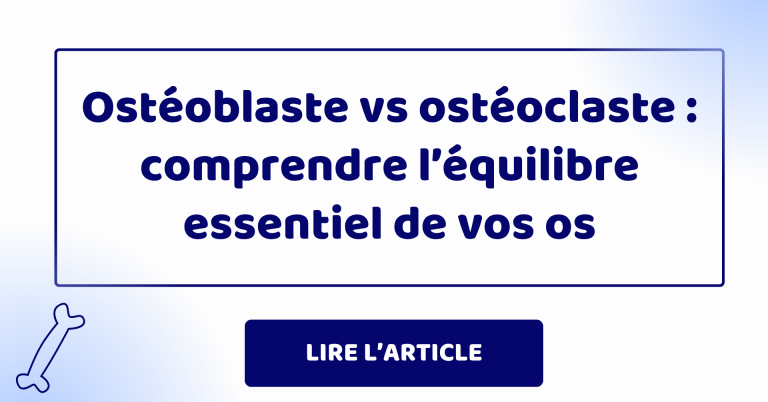 ostéoblastes vs ostéoclastes ostéoblastes vs ostéoclastes