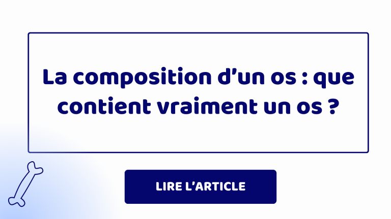 La composition d'un os La composition d'un os